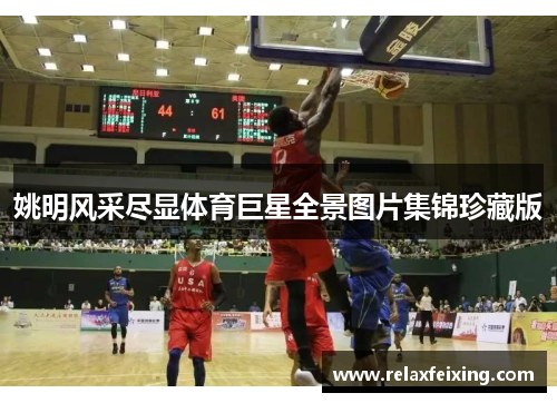 姚明风采尽显体育巨星全景图片集锦珍藏版