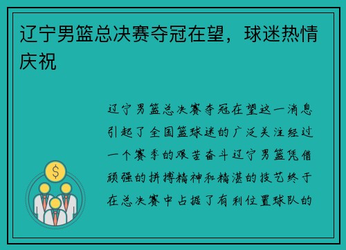 辽宁男篮总决赛夺冠在望，球迷热情庆祝